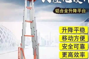 雙桅鋁合金升降機   生產(chǎn)廠家